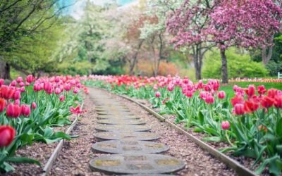 Seven of the best gardens to visit in spring